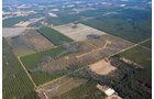 Property photo 2 - Georgia Land Auction - 1,594+/- Acres in 31 Tracts