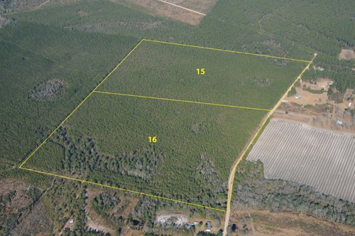 Property photo 11 - Georgia Land Auction - 1,594+/- Acres in 31 Tracts