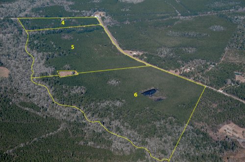 Property photo 14 - Georgia Land Auction - 1,594+/- Acres in 31 Tracts
