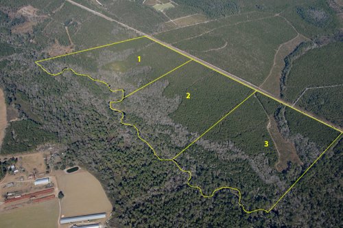 Property photo 20 - Georgia Land Auction - 1,594+/- Acres in 31 Tracts