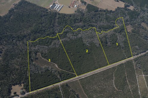 Property photo 8 - Georgia Land Auction - 1,594+/- Acres in 31 Tracts