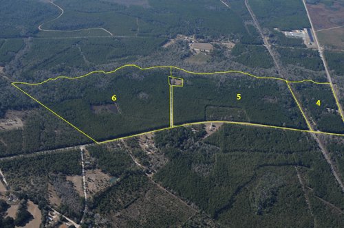 Property photo 21 - Georgia Land Auction - 1,594+/- Acres in 31 Tracts