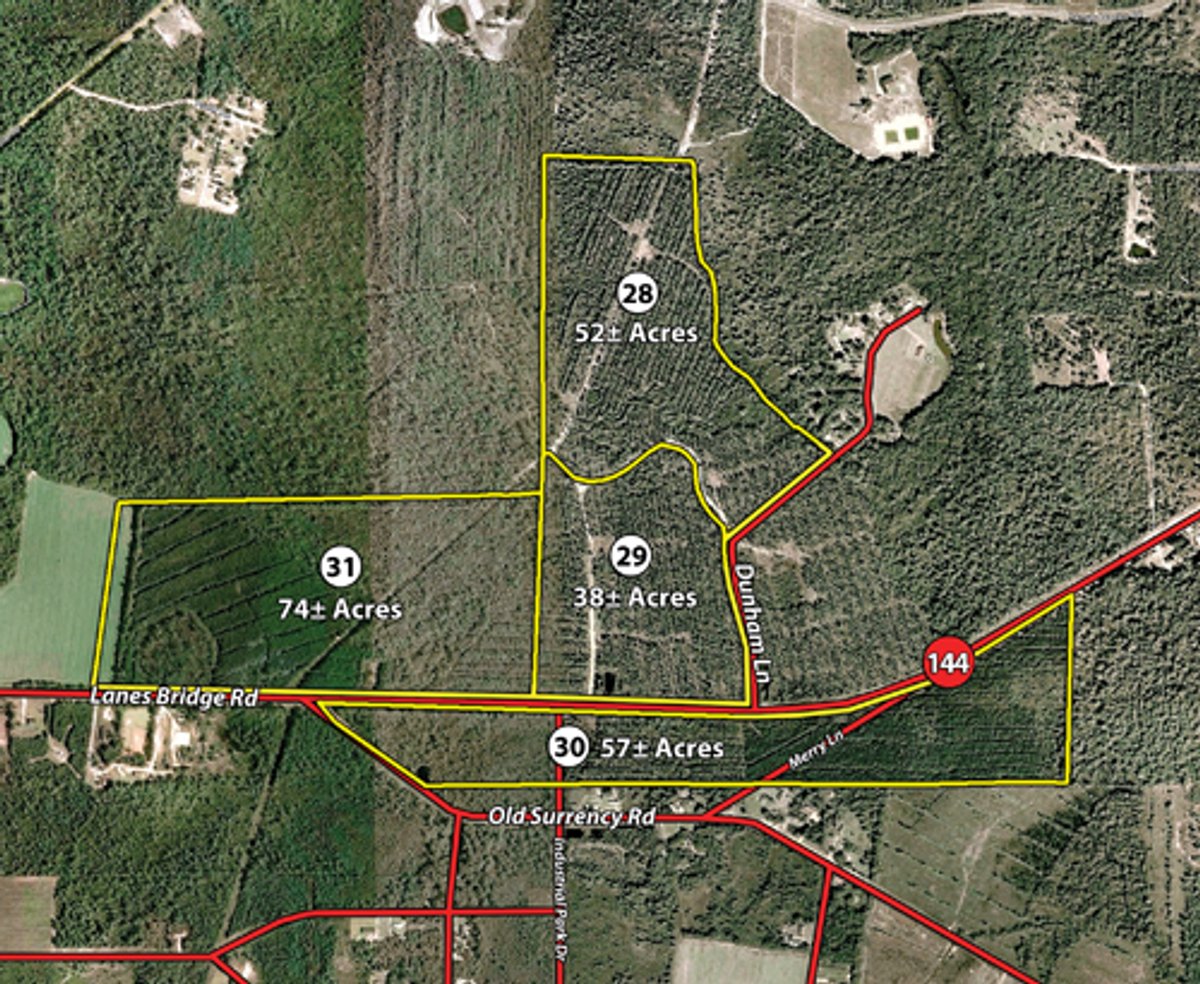 Tract map - Georgia Land Auction - 1,594+/- Acres in 31 Tracts