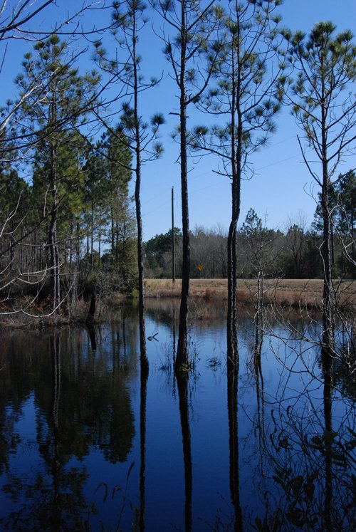 Property photo 29 - Georgia Land Auction - 1,594+/- Acres in 31 Tracts