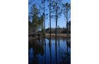 Property photo 29 - Georgia Land Auction - 1,594+/- Acres in 31 Tracts