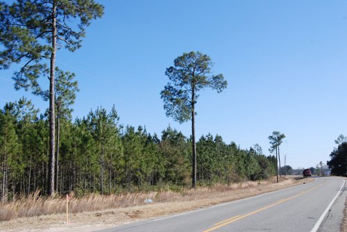 Property photo 27 - Georgia Land Auction - 1,594+/- Acres in 31 Tracts