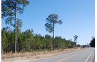Property photo 27 - Georgia Land Auction - 1,594+/- Acres in 31 Tracts