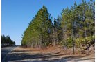 Property photo 9 - Georgia Land Auction - 1,594+/- Acres in 31 Tracts