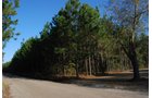 Property photo 17 - Georgia Land Auction - 1,594+/- Acres in 31 Tracts