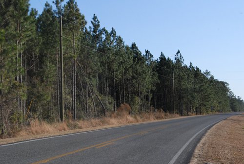 Property photo 22 - Georgia Land Auction - 1,594+/- Acres in 31 Tracts