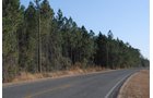 Property photo 22 - Georgia Land Auction - 1,594+/- Acres in 31 Tracts