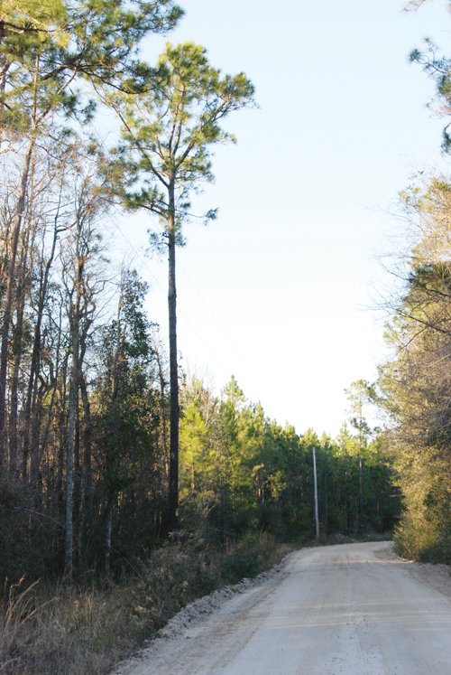 Property photo 26 - Georgia Land Auction - 1,594+/- Acres in 31 Tracts