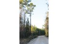 Property photo 26 - Georgia Land Auction - 1,594+/- Acres in 31 Tracts