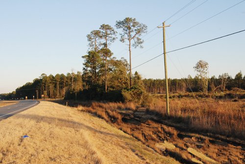 Property photo 7 - Georgia Land Auction - 1,594+/- Acres in 31 Tracts