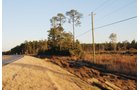 Property photo 7 - Georgia Land Auction - 1,594+/- Acres in 31 Tracts