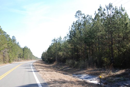 Property photo 15 - Georgia Land Auction - 1,594+/- Acres in 31 Tracts