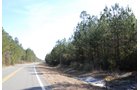 Property photo 15 - Georgia Land Auction - 1,594+/- Acres in 31 Tracts