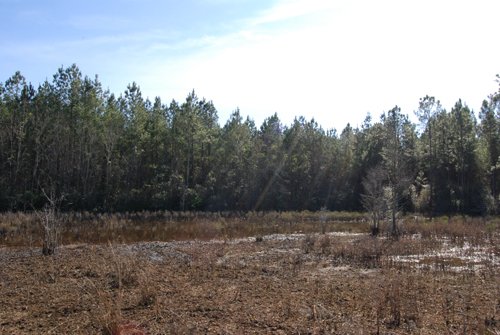 Property photo 18 - Georgia Land Auction - 1,594+/- Acres in 31 Tracts