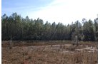 Property photo 18 - Georgia Land Auction - 1,594+/- Acres in 31 Tracts