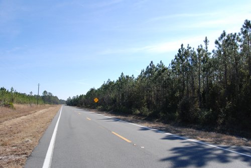Property photo 3 - Georgia Land Auction - 1,594+/- Acres in 31 Tracts