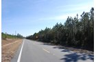 Property photo 3 - Georgia Land Auction - 1,594+/- Acres in 31 Tracts