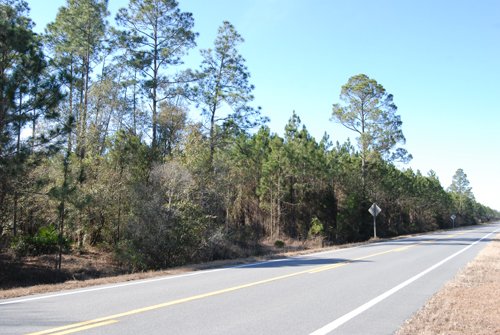 Property photo 28 - Georgia Land Auction - 1,594+/- Acres in 31 Tracts