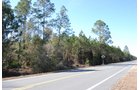 Property photo 28 - Georgia Land Auction - 1,594+/- Acres in 31 Tracts