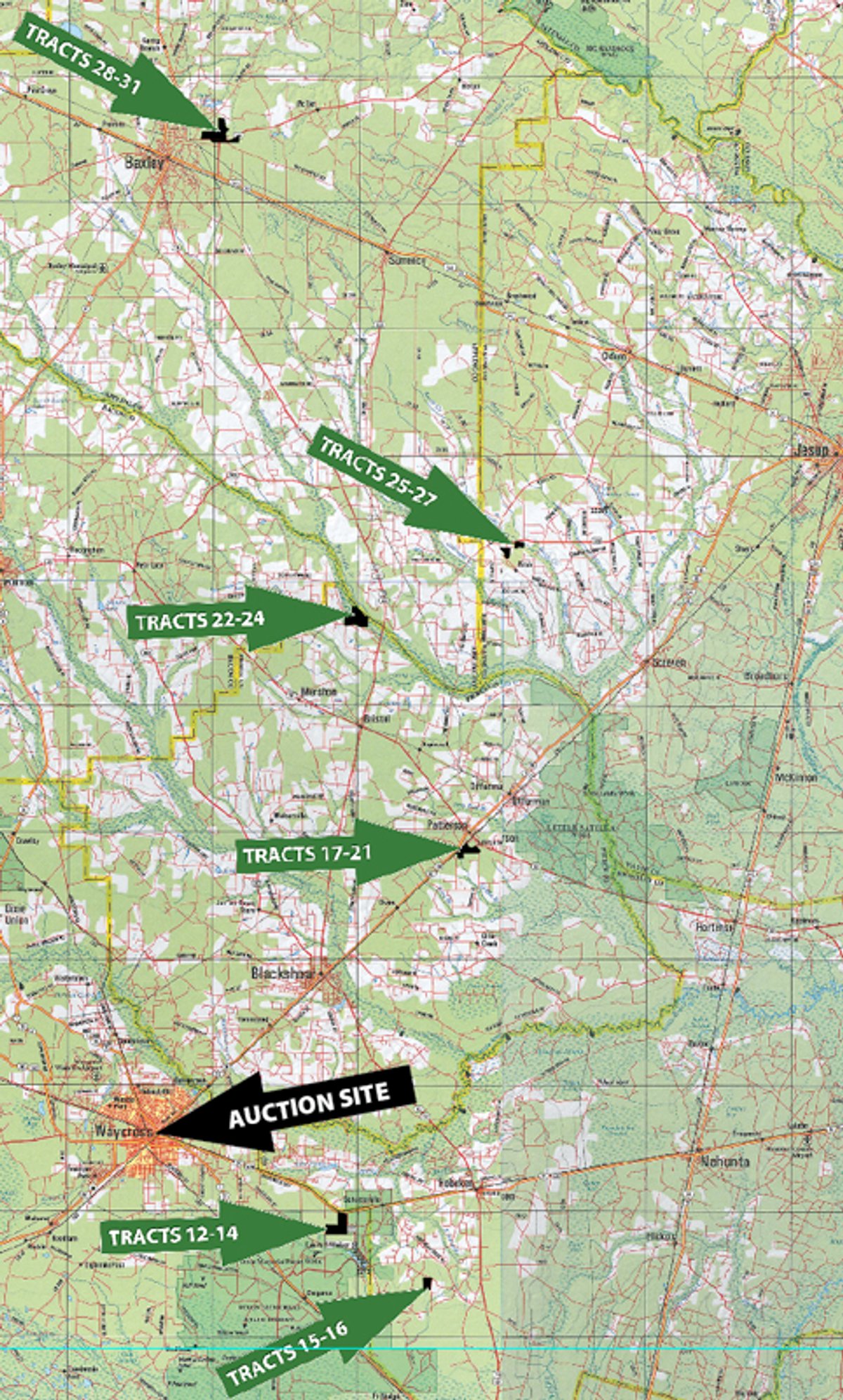 Area map - Georgia Land Auction - 1,594+/- Acres in 31 Tracts