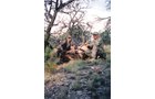 Property photo 26 - 7,320 Acres Offered in 5 Tracts