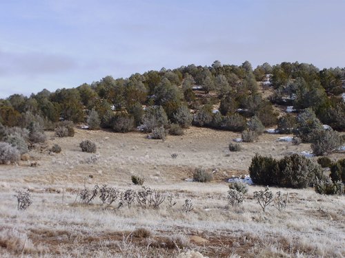 Property photo 29 - 7,320 Acres Offered in 5 Tracts
