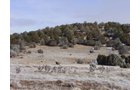 Property photo 29 - 7,320 Acres Offered in 5 Tracts