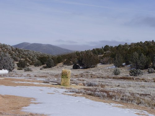 Property photo 49 - 7,320 Acres Offered in 5 Tracts