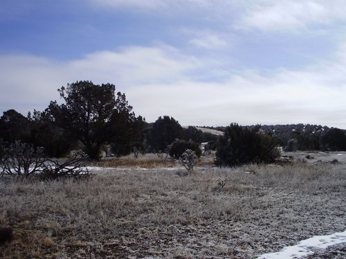 Property photo 48 - 7,320 Acres Offered in 5 Tracts