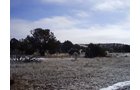 Property photo 48 - 7,320 Acres Offered in 5 Tracts