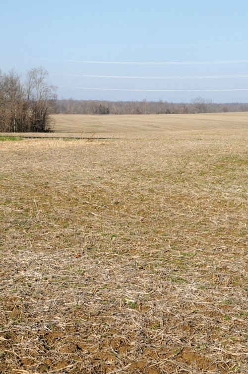 Property photo 21 - 503 Acres Offered in 10 Tracts - Breathtaking Views of the Ohio River