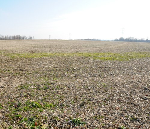 Property photo 19 - 503 Acres Offered in 10 Tracts - Breathtaking Views of the Ohio River