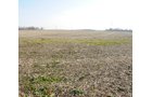 Property photo 19 - 503 Acres Offered in 10 Tracts - Breathtaking Views of the Ohio River