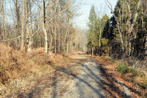 Property photo 17 - 503 Acres Offered in 10 Tracts - Breathtaking Views of the Ohio River