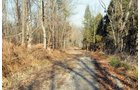 Property photo 17 - 503 Acres Offered in 10 Tracts - Breathtaking Views of the Ohio River