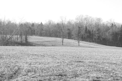 Property photo 15 - 503 Acres Offered in 10 Tracts - Breathtaking Views of the Ohio River