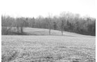 Property photo 15 - 503 Acres Offered in 10 Tracts - Breathtaking Views of the Ohio River