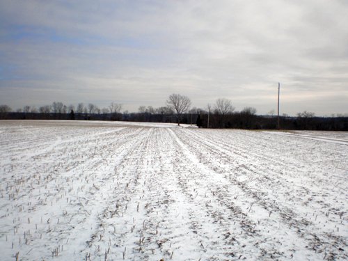 Property photo 3 - 503 Acres Offered in 10 Tracts - Breathtaking Views of the Ohio River