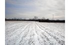 Property photo 3 - 503 Acres Offered in 10 Tracts - Breathtaking Views of the Ohio River
