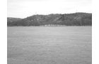 Property photo 2 - 503 Acres Offered in 10 Tracts - Breathtaking Views of the Ohio River