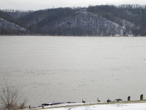 Property photo 5 - 503 Acres Offered in 10 Tracts - Breathtaking Views of the Ohio River