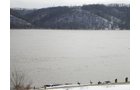Property photo 5 - 503 Acres Offered in 10 Tracts - Breathtaking Views of the Ohio River