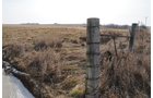 Property photo 191 - 745 Acres Offered in 16 Tracts