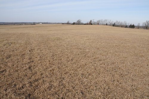 Property photo 42 - 745 Acres Offered in 16 Tracts