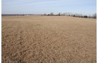 Property photo 42 - 745 Acres Offered in 16 Tracts