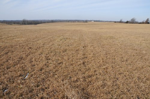 Property photo 128 - 745 Acres Offered in 16 Tracts